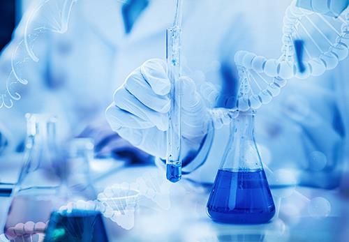 博精化學英文網(wǎng)站